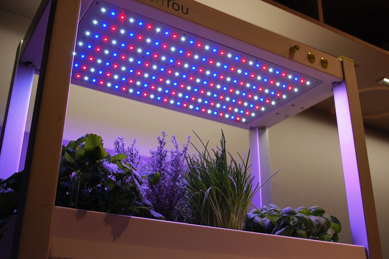 Das Zimmergewächshaus greenUnit mit Sunlight-LED Technologie für besseres Pflanzenwachstum